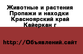 Животные и растения Пропажи и находки. Красноярский край,Кайеркан г.